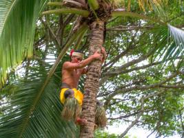  north shore oahu luau